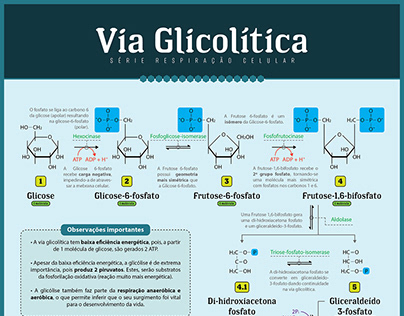 Biochemistry Infographic
