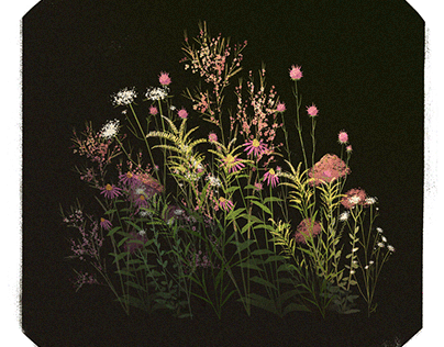 Weeds n' Wildflowers