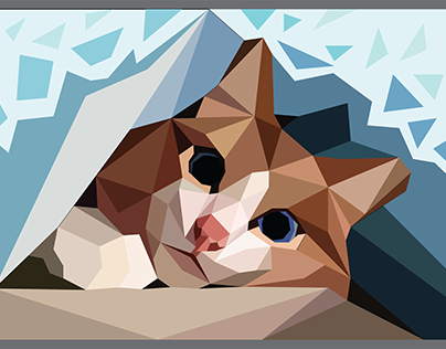 Cat polygon