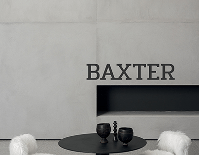 BAXTER | E-COMMRCE REDESIGN