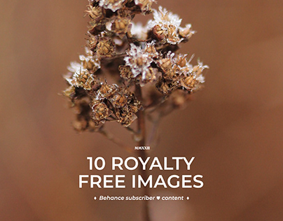 10 Royalty Free Images - Premium Content