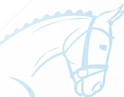 Horse dressage/bit fitting logo design