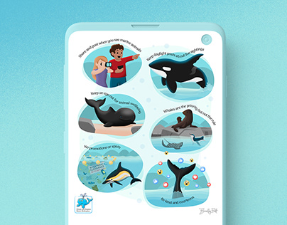 Infographic Posters | Whale & Dolphin Watch