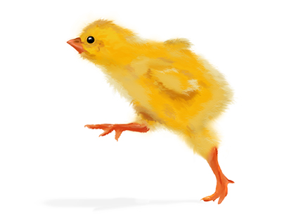 Little chick. FLY.