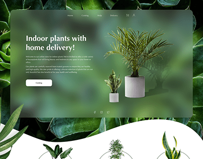 Web design Landing page houseplant store