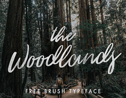 THE WOODLANDS - FREE FONT