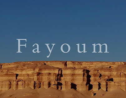 Document A Travel For Fayoum 2020