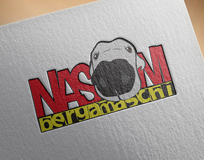 Logo "Nasoni Bergamaschi"