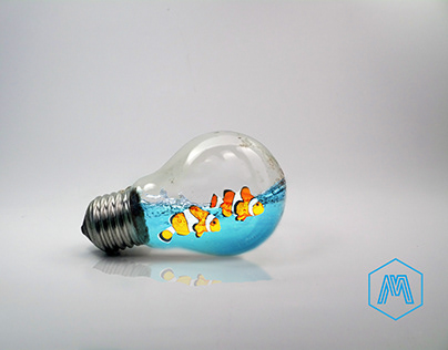 Light bulb fish
