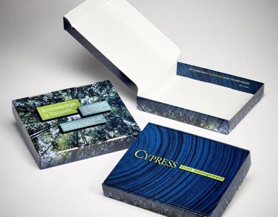 Dimensional Direct Mail by Sneller