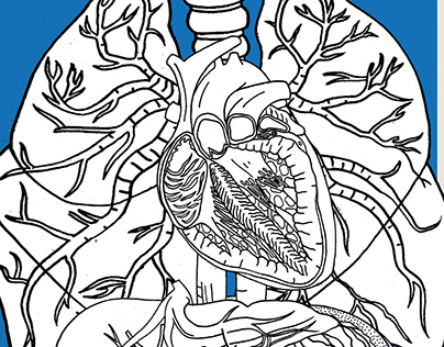Human organs illustrations
