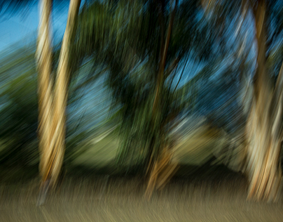 Trees in Motion