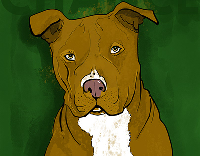 Digital Illustration -- city animal shelter