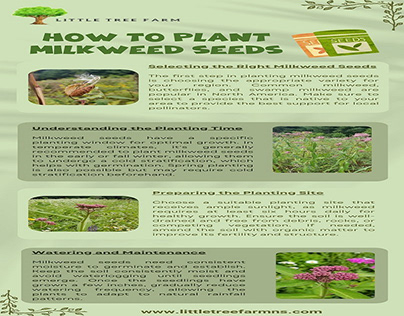 How to Plant Milkweed Seeds - Little Tree Farm NS