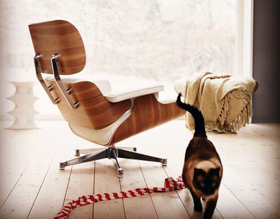 Lounge Chair by Charles & Ray Eames - 1956