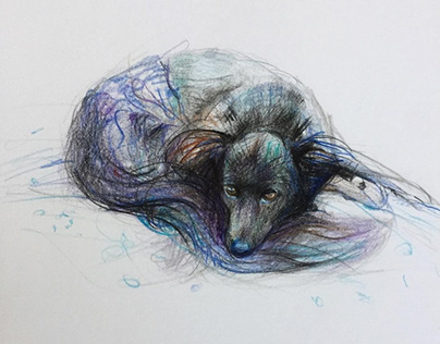 Dogs - watercolor pensils