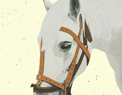 Horse Illustration by Oz Galeano