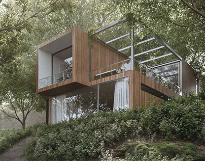 Forest House Visualization