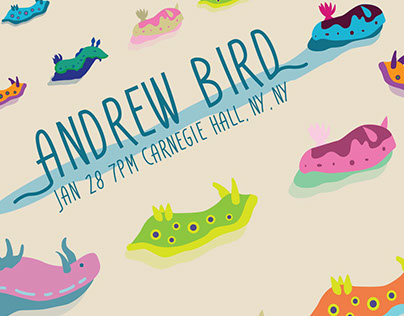 Andrew Bird tour poster