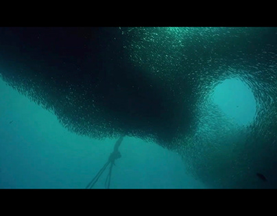 Documental “Por Amor al Mar” - Soundtrack