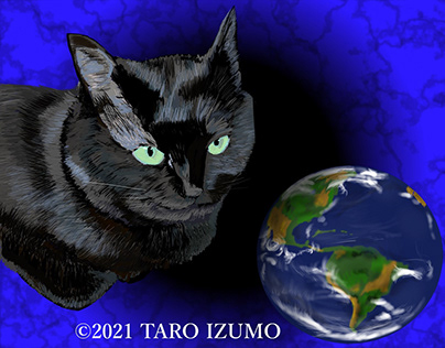 The black cat and the earth