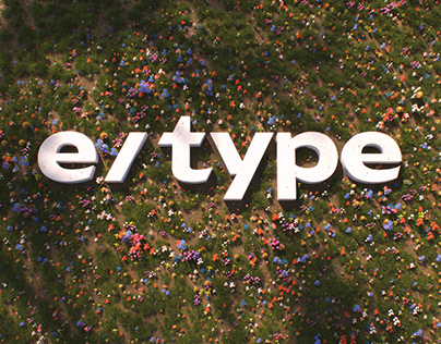 Anex e/type