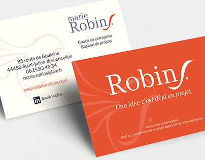 Project thumbnail - Branding for Robins