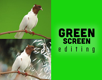 green screen - editing - Video - filmora 9