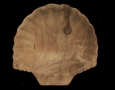 "Shell III", wooden bowl, 2015