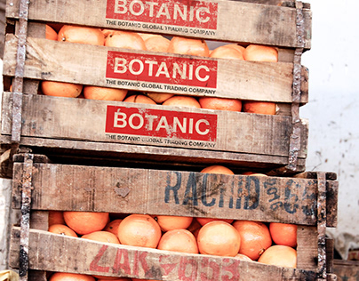 The Botanic Company Orange CBD Oil Packaging