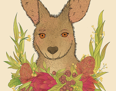 Australian Animal Illustrations