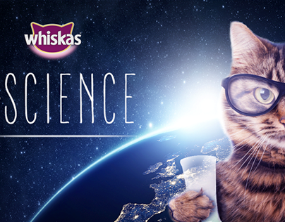 Cat Science
