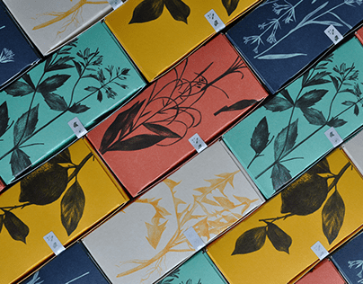 Botanical illustrations for packaging for herbal tea