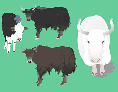 The Most General Categories of Yaks (Motion Graphics)