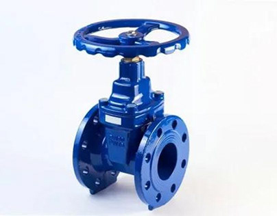 Top Quality Gate Valve Manufacturers- Ridhiman Alloys