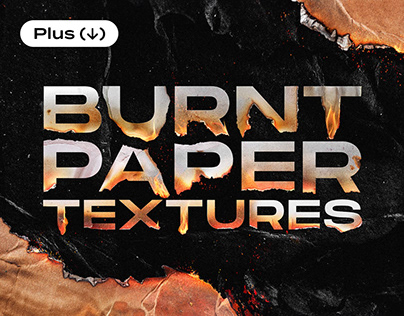 Torn & Burned Paper Textures