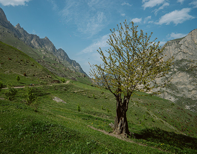 North Osetia