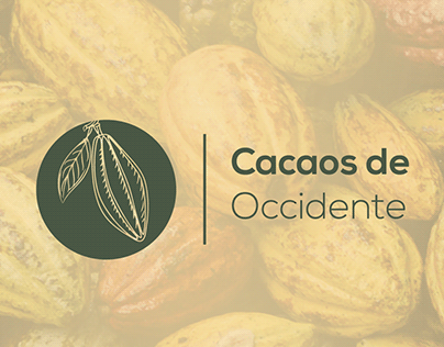 Presentación / Cacaos de Occidente