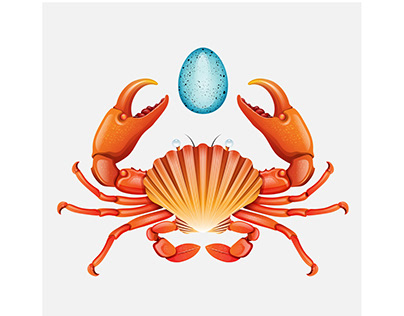 Crab, Shell, Raven Egg