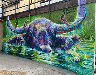 Water Buffalo: Swindon Paint Festival