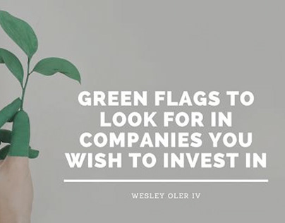 Green Flags to Look for in Companies to Invest In