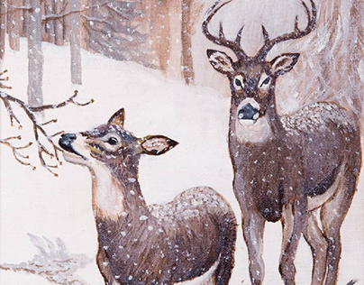 Deer in December