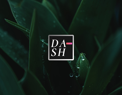 DASH - chrome extension