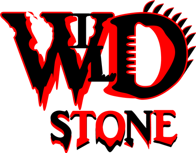 Wild Stone Code series social media campaign on Behance