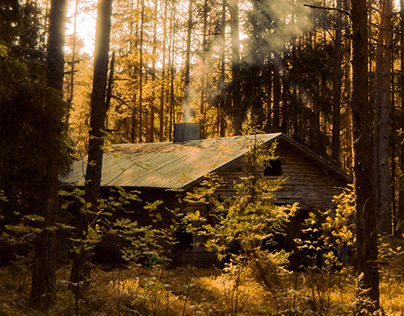 Finnish woods