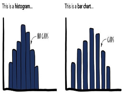 How Bar Charts and Column Charts Differ