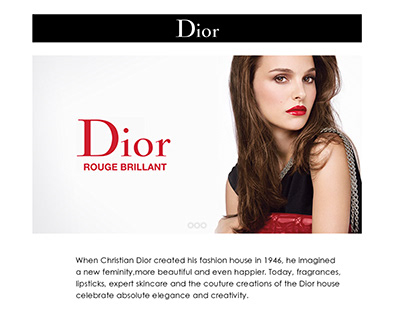 Dior Mini Site (Edgars)