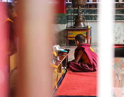 Sanatana Dharma - The Monastery