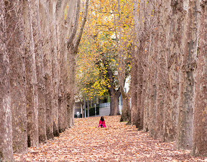Autumn Melbourne