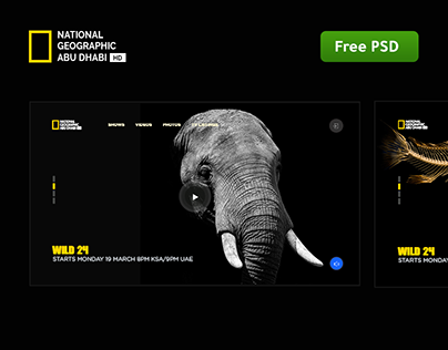Download Re Design National geographic abu dhabi free